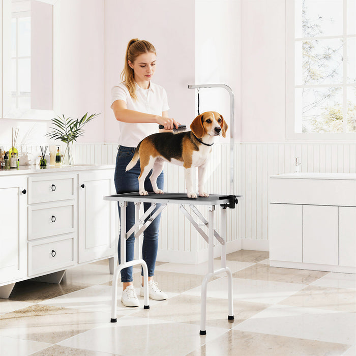 PawHut 32in Foldable Dog Grooming Table for Small Dogs, Pet Grooming Table for Dogs Cats with Adjustable Arm, Non-Slip Surface, Black