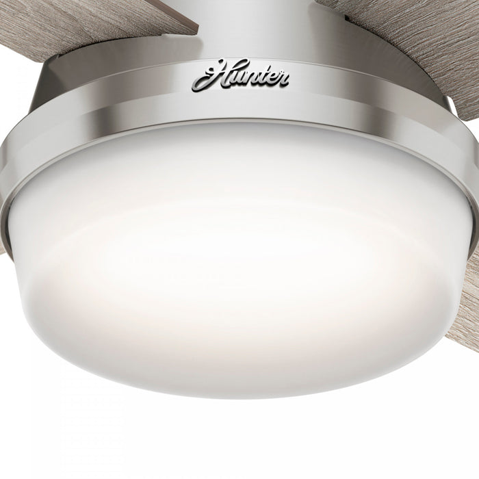 Dempsey Low Profile Ceiling Fan with Light Fixture - Grey