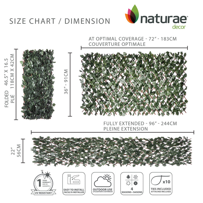 Willow Expandable Ivy Trellis - 36\" x 72\"