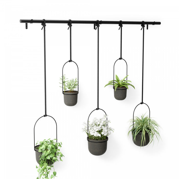 Umbra Black Triflora Hanging Planter - Set of 5