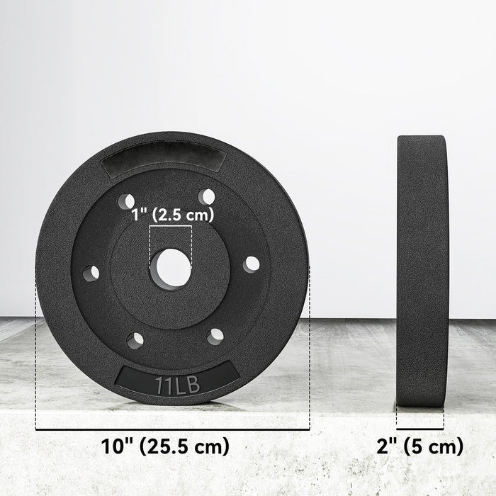 Soozier Weight Plates Set of 4, 1-Inch Barbell Weights Set, 4 x 11 lbs