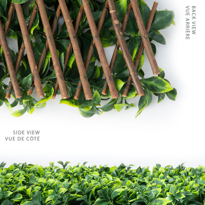 Willow Expandable Gardenia Trellis - 40\" x 80\" 