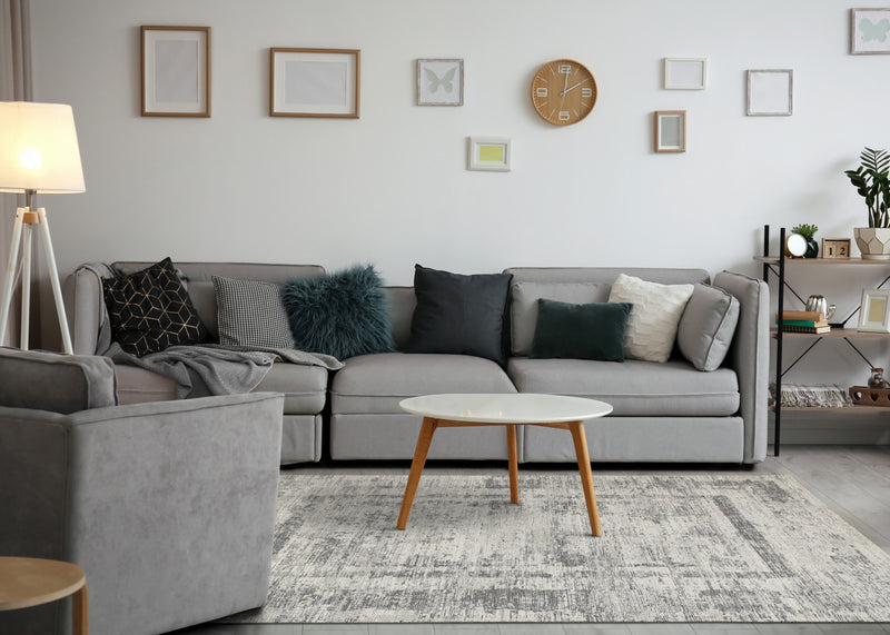 Kylie Grey Faded Borders Rug, 7'10\" x 10'10\" Indoor Area Rug