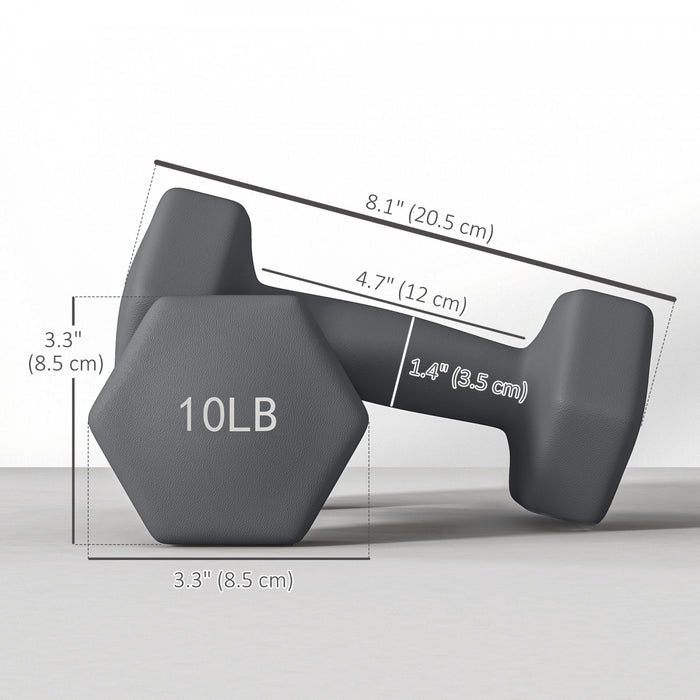 Soozier 2 x 10LBS Hex Dumbbells Set Weights Pair for Home Gym Workout