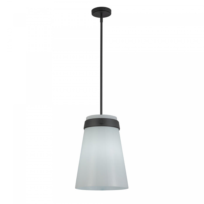 Dahlia 1 Light Pendant 12\", Black