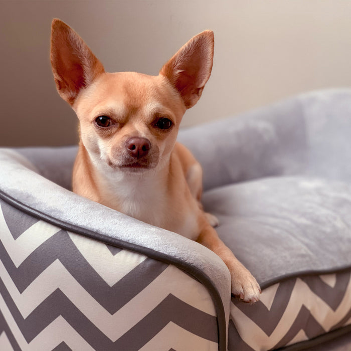 Pawhut Pet Sofa Elevated Dog Bed Raised Cat Couch Puppy Furniture For Small Sized Dogs With Storage Removable Cushion Cover Grey