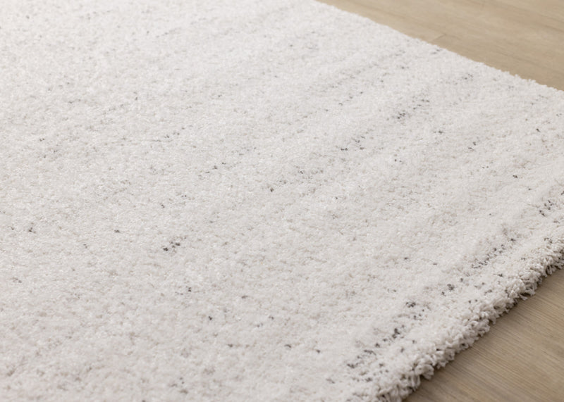Surrey White Grey Speckled Rug, 3'11\" x 5'7\" Indoor Area Rug