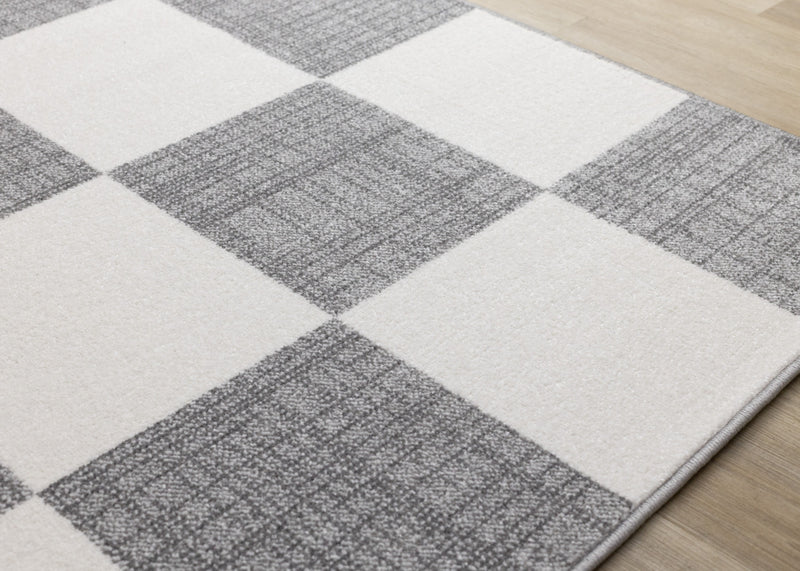 Covington Grey White Checkered Pattern Rug, 5'3\" x 7'7\" Indoor Area Rug