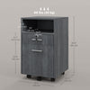 Vinsetto 2 Drawer Filing Cabinet with Lock for A4 Letter Size, Grey