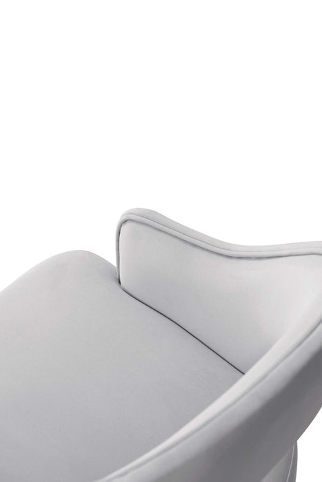Carrington Modern Glam Upholstered Velvet Armchair in Light Gray - Set of 2