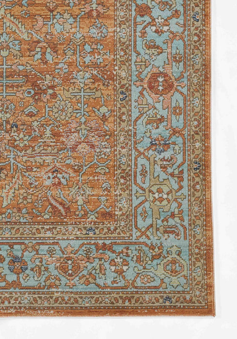 Hailey Traditional 9'3\" x 11'10\" Area Rug in Orange Indoor Area Rug