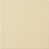 Frigidaire Pizza Stone  - 5304539429