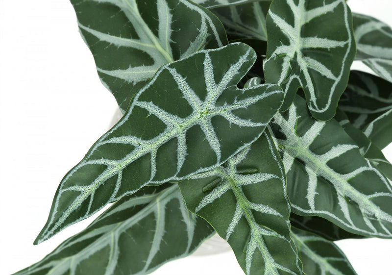 Alocasia 8\" Artificial Plant - Set of 2