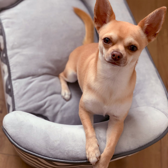 Pawhut Pet Sofa Elevated Dog Bed Raised Cat Couch Puppy Furniture For Small Sized Dogs With Storage Removable Cushion Cover Grey