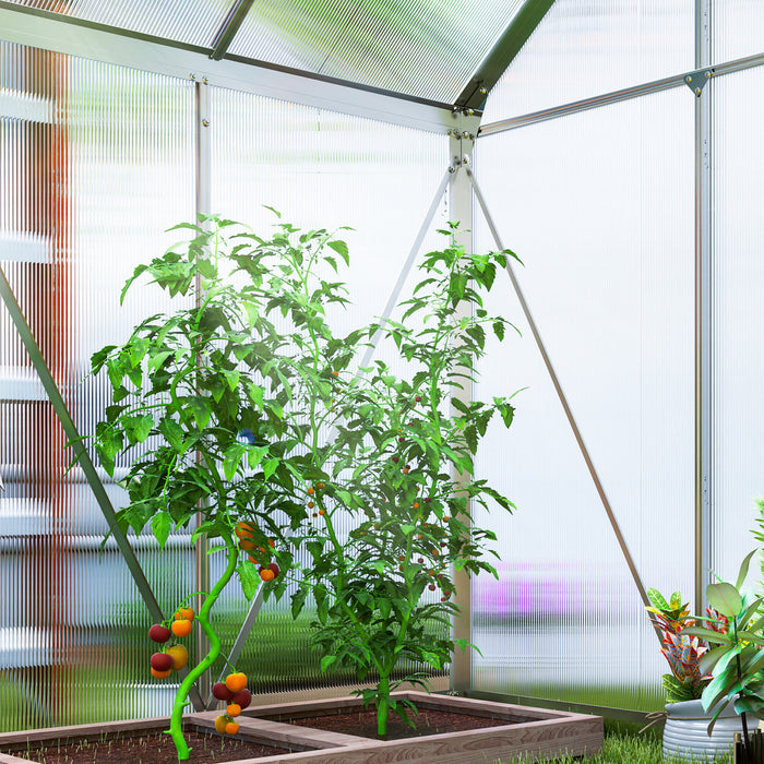 Outsunny 6' x 4' x 6.6' Polycarbonate Greenhouse Walk-in Green House Clear