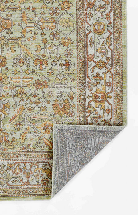Hailey Traditional 7'10\" x 10'6\" Area Rug in Green Indoor Area Rug
