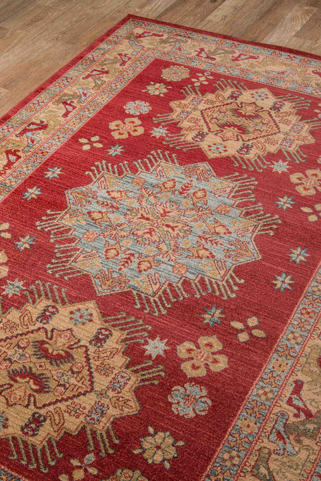 Mila Traditional 7'10\" x 9'10\" Area Rug in Red Indoor Area Rug