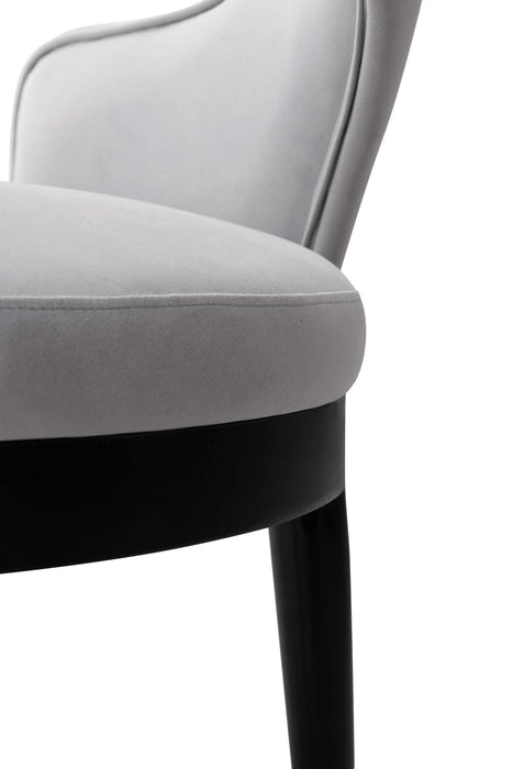 Carrington Modern Glam Upholstered Velvet Armchair in Light Gray - Set of 2