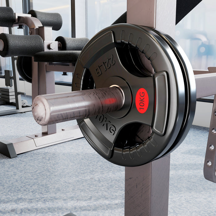 Soozier 2 x 22lbs Weight Plates Set, 2-Inch Barbell Weights Set