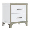 Sophia High Gloss Nightstand with 2 Drawers and Metal Handles,White | Sophia table de chevet laquee brillante avec 2 tiroirs et poignees en metal, blanc