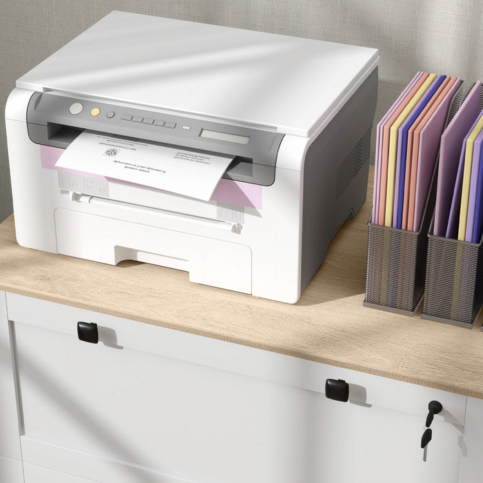HOMCOM 2 Drawer Lateral File Cabinet for Letter, A4, Legal Size, White