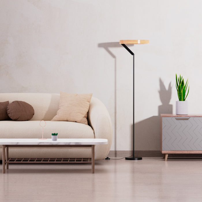 63\"  Matte Black Modern LED Floor Lamp