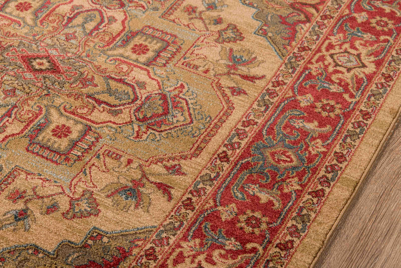 Lux Traditional 9'3\" x 12'6\" Area Rug in Ivory Indoor Area Rug