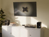 KANTO LT100 TV Tilt Mount Black - Small TV Up To 40" Tv Mount | Support TV Kanto Noir