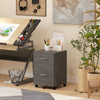 Vinsetto Mobile File Cabinet, 2-Drawer Filing Cabinet with Wheels, Grey