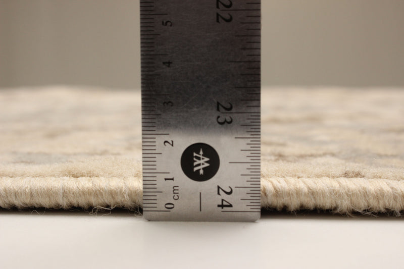 Priya Beige Area Rug - 5'0\" x 8'0\"