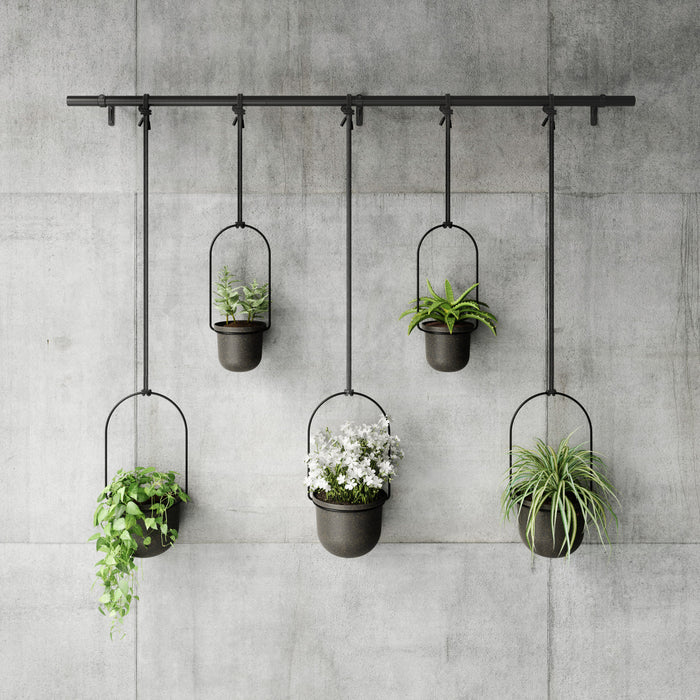 Umbra Black Triflora Hanging Planter - Set of 5