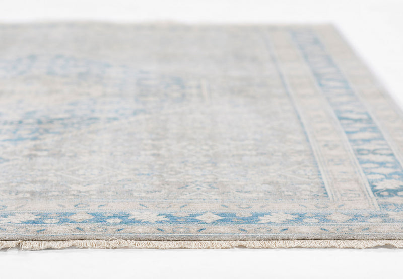 Lucia Traditional 8'0\" x 10'0\" Area Rug in Blue Indoor Area Rug