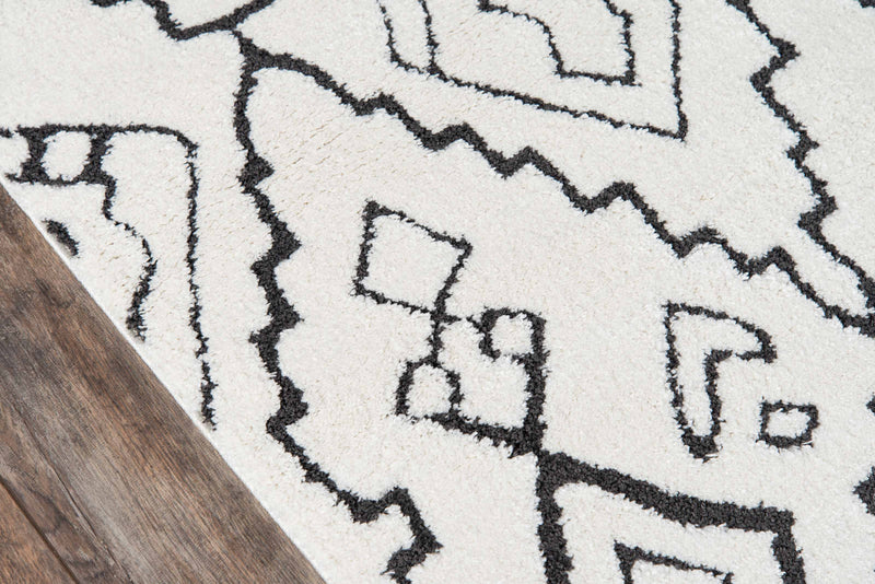Aurelia Contemporary 5'3\" x 7'2\" Area Rug in Ivory Indoor Area Rug