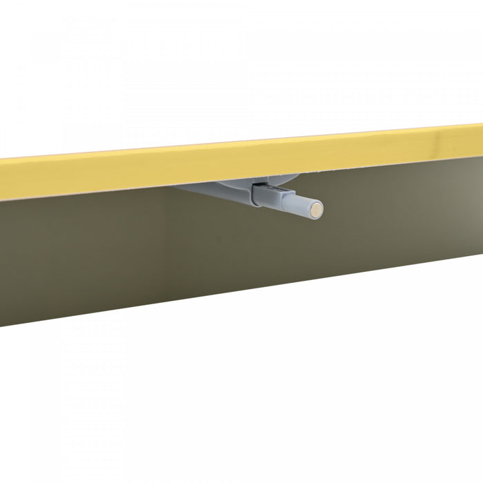 James Coffee Table with 2 Drawers Gold,White