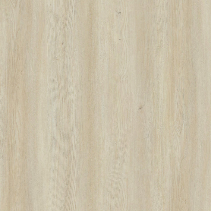 Novara Contemporary 60\" Writing Desk in Whitewashed Oak (2-Drawer)