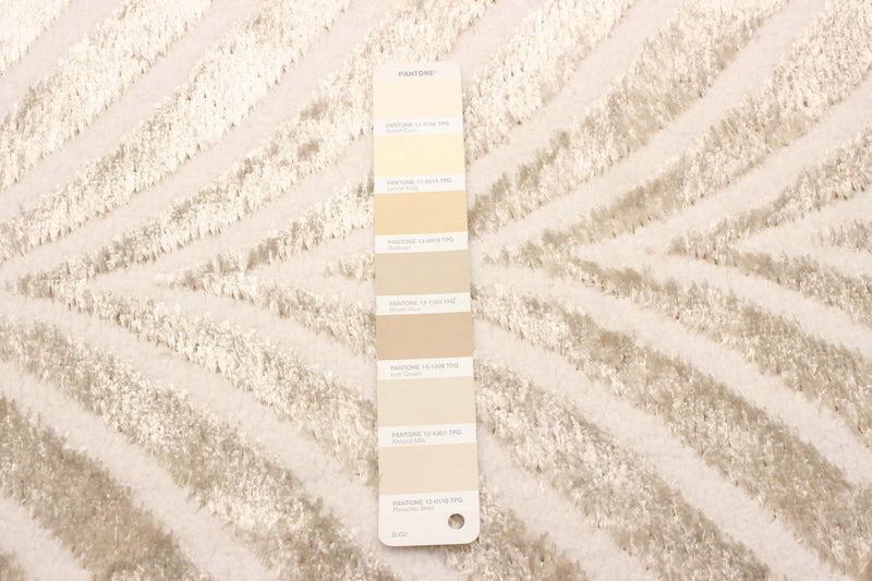 Roman Ivory Area Rug - 5'0\" x 8'0\"