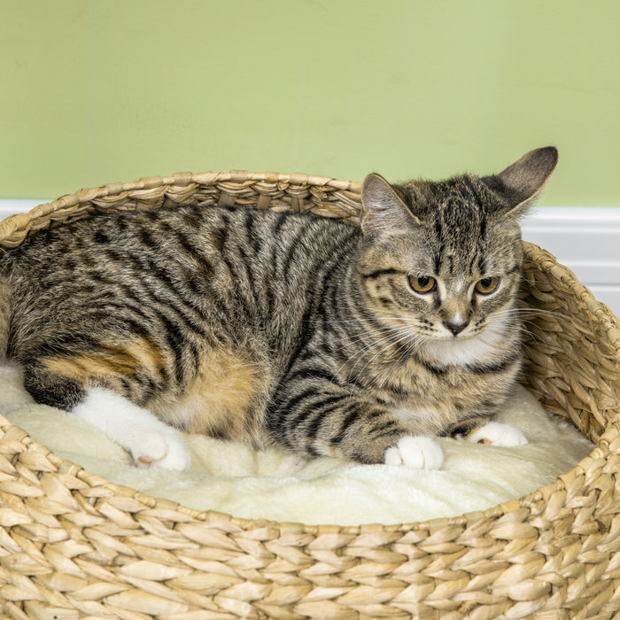Pawhut 28\" Cat Tree With Scratching Post, Cat Tower For Indoor Cats With Double Beds, Beige
