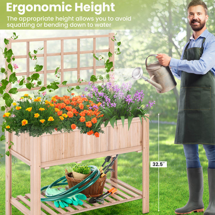 Costway Raised Garden Bed Elevated Wooden Planter Box W/ Trellis & Open Storage Shelf