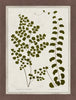 Green Leaves Framed Matted Glass Art – 26" x 34" | Œuvre d’art en verre mat encadrée « Green Leaves » - 26 po x 34 po