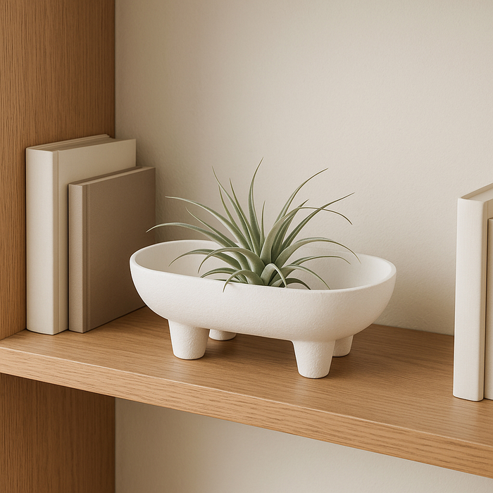 10” Ceramic Rounded Rectangle Bowl– White 