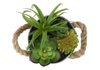7” Artificial Potted Succulent in 5” Metal Pot – set of 2 | Plante grasse artificielle de 7 po en pot de 5 po en métal - ensemble de 2