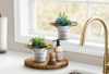 7” Artificial Potted Succulent in 5” Metal Pot – set of 2 | Plante grasse artificielle de 7 po en pot de 5 po en métal - ensemble de 2