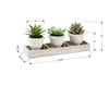 Artificial Potted Plants – set of 3  | Plantes artificielles en pot - ensemble de 3