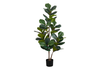 49” Artificial Indoor Fiddle Tree in 5” Pot 