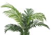 57” Artificial Indoor Palm Tree in 5” Pot  | Palmier artificiel de 57 po en pot de 5 po pour l’intérieur