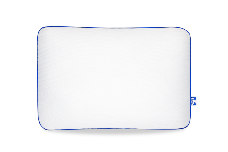 Sealy® Cool Comfort Memory Foam Standard Pillow 