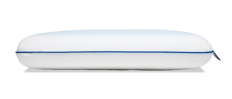 Sealy® Cool Comfort Memory Foam Standard Pillow 