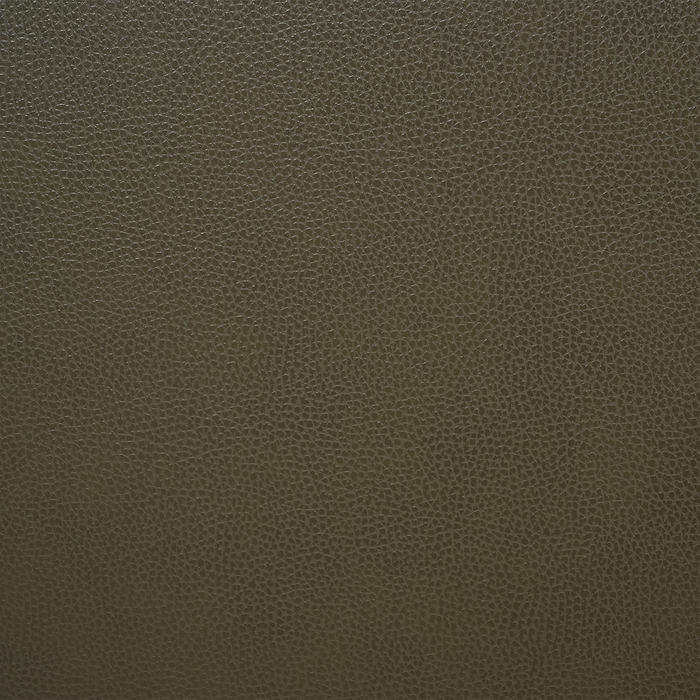 Viero 42.1\" Genuine Leather Accent Chair - Green  