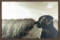 Farm Dog Framed Laminate Finish - 25.5