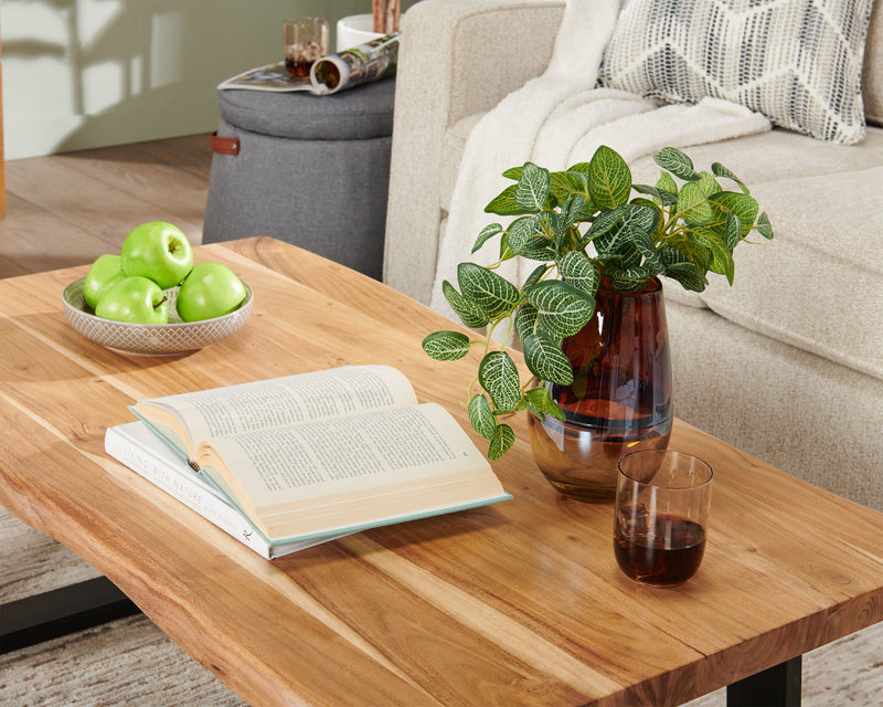 Agra 45\" Rustic Coffee Table - Brown and Black with Iron Legs